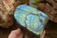 Polished Labradorite Standing Free Form With A Full Face Flash x 1 From Tulear, Madagascar - TopRock