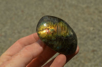 Polished Flashy Labradorite Palm Stones  x 24 From Tulear, Madagascar - TopRock