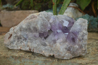 Natural Large Jacaranda Amethyst Vug Specimen  x 1 From Mumbwa, Zambia - TopRock