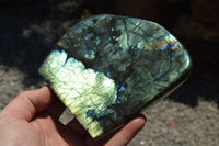 Polished Labradorite Standing Free Forms With Intense Blue & Gold Flash x 2 From Sakoany, Madagascar - TopRock