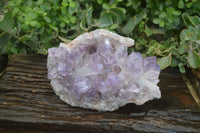 Natural Jacaranda Amethyst Cluster  x 1 From Zambia - Toprock Gemstones and Minerals 