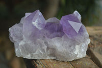 Natural Jacaranda Amethyst Clusters  x 3 From Mumbwa, Zambia - Toprock Gemstones and Minerals 