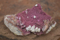 Natural Salrose Cobaltion Dolomite Specimens  x 12 From Kakanda, Congo - TopRock