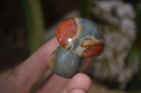 Polished Mini Polychrome / Picasso Jasper Mushrooms  x 20 From Mahajanga, Madagascar