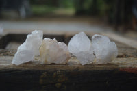 Natural White Cactus Spirit Quartz Crystals  x 3.6 Kg Lot From Boekenhouthoek, South Africa - Toprock Gemstones and Minerals 