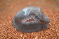 Polished River Agate Nodules  x 6 From Sashe River, Zimbabwe