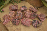 Natural Rough Red Rhodonite Specimens  x 12 From Zimbabwe