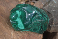 Polished Flower Malachite Free Forms  x 6 From Congo