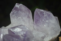 Natural Jacaranda Amethyst Clusters x 2 From Mumbwa, Zambia - TopRock