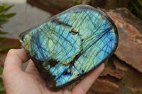 Polished Labradorite Standing Free Form With A Full Face Flash x 1 From Tulear, Madagascar - TopRock