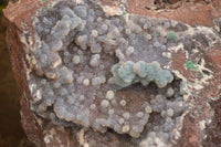 Natural Massive Drusy Coated Ball Malachite On Red Copper Dolomite Specimen x 1 From Likasi, Congo