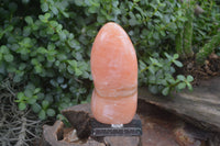 Polished Orange Twist Calcite Standing Free Form x 1 From Madagascar - Toprock Gemstones and Minerals 