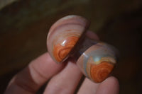 Polished Mini Polychrome / Picasso Jasper Mushrooms  x 20 From Mahajanga, Madagascar