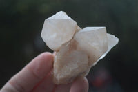 Natural Single Pineapple Candle Quartz Crystals  x 12 From Antsirabe, Madagascar - Toprock Gemstones and Minerals 