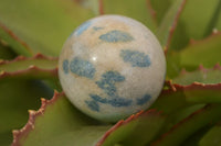 Polished Blue Spotted Spinel Quartz Spheres x 8 From Madagascar