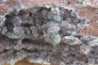 Natural Drusy Coated Ball Malachite On Dolomite Specimen  x 1 From Likasi, Congo