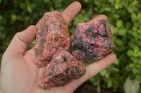 Natural Rough Red Rhodonite Specimens  x 12 From Zimbabwe