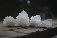 Natural White Cactus Spirit Quartz Crystals  x 3.6 Kg Lot From Boekenhouthoek, South Africa - Toprock Gemstones and Minerals 