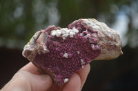 Natural Salrose Cobaltion Dolomite Specimens  x 12 From Kakanda, Congo - TopRock