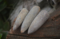 Natural Belemnite Fossil "Bullets" x 70 From Maintirano, Madagascar - TopRock