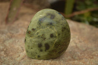 Polished Leopard Stone Standing Free Forms x 6 From Zimbabwe