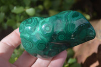 Polished Flower Malachite Free Forms  x 6 From Congo