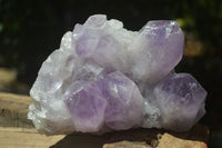 Natural Jacaranda Amethyst Clusters x 2 From Mumbwa, Zambia - TopRock