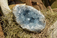 Natural Blue Celestite Geode Specimens  x 2 From Sakoany, Madagascar - TopRock