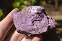 Natural Rare Metallic Purpurite Cobbed Specimens x 12 From Erongo, Namibia - TopRock