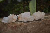 Natural White Cactus Spirit Quartz Crystals  x 3.6 Kg Lot From Boekenhouthoek, South Africa - Toprock Gemstones and Minerals 