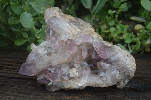 Natural Jacaranda Amethyst Cluster x 1 From Mumbwa, Zambia - TopRock