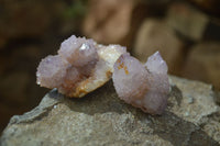 Natural Spirit Ametrine Quartz Crystals x 20 From Boekenhouthoek, South Africa