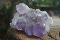 Natural Jacaranda Amethyst Clusters  x 3 From Mumbwa, Zambia - Toprock Gemstones and Minerals 