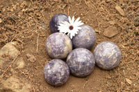 Polished Purple Lepidolite Mica Spheres  x 6 From Madagascar - TopRock