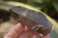 Natural Smokey Quartz Crystals x 4 From Malawi