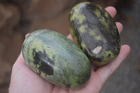 Polished Large Leopard Stone Palm Stones  x 6 From Zimbabwe - Toprock Gemstones and Minerals 