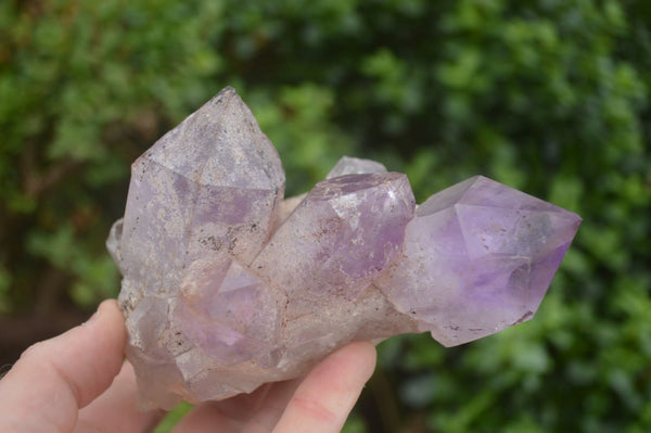 Natural Jacaranda Amethyst Crystal Clusters  x 4 From Zambia - TopRock