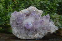 Natural Jacaranda Amethyst Cluster  x 1 From Zambia - Toprock Gemstones and Minerals 