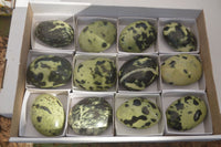 Polished Spotted Leopard Stone Gallets  x 12 From Zimbabwe - Toprock Gemstones and Minerals 