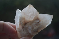 Natural Single Pineapple Candle Quartz Crystals  x 12 From Antsirabe, Madagascar - Toprock Gemstones and Minerals 