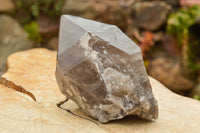 Polished  Smokey Quartz Crystal With Polished Termination x 1 From Malawi - TopRock