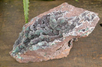 Natural Drusy Coated Ball Malachite On Dolomite Specimen  x 1 From Likasi, Congo