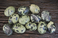 Polished Spotted Leopard Stone Gallets  x 12 From Zimbabwe - Toprock Gemstones and Minerals 