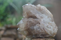 Natural Cascading Smokey White Phantom Quartz Clusters  x 2 From Luena, Congo - Toprock Gemstones and Minerals 