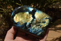 Polished Labradorite Standing Free Forms With Intense Blue & Gold Flash x 2 From Tulear, Madagascar - TopRock