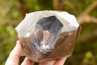 Polished  Smokey Quartz Crystal With Polished Termination x 1 From Malawi - TopRock