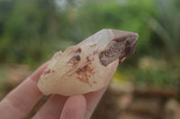 Natural Red Hematoid Quartz Specimens x 12 From Karoi, Zimbabwe - TopRock