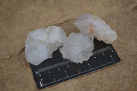 Natural White Cactus Spirit Quartz Crystals  x 3.6 Kg Lot From Boekenhouthoek, South Africa - Toprock Gemstones and Minerals 