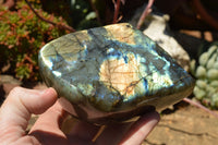 Polished Labradorite Standing Free Forms With Intense Blue & Gold Flash x 2 From Sakoany, Madagascar - TopRock