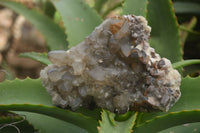 Natural Schorl Black Tourmaline & Smokey Quartz Specimens With Hyalite Opal x 2 From Erongo Mountains, Namibia - TopRock